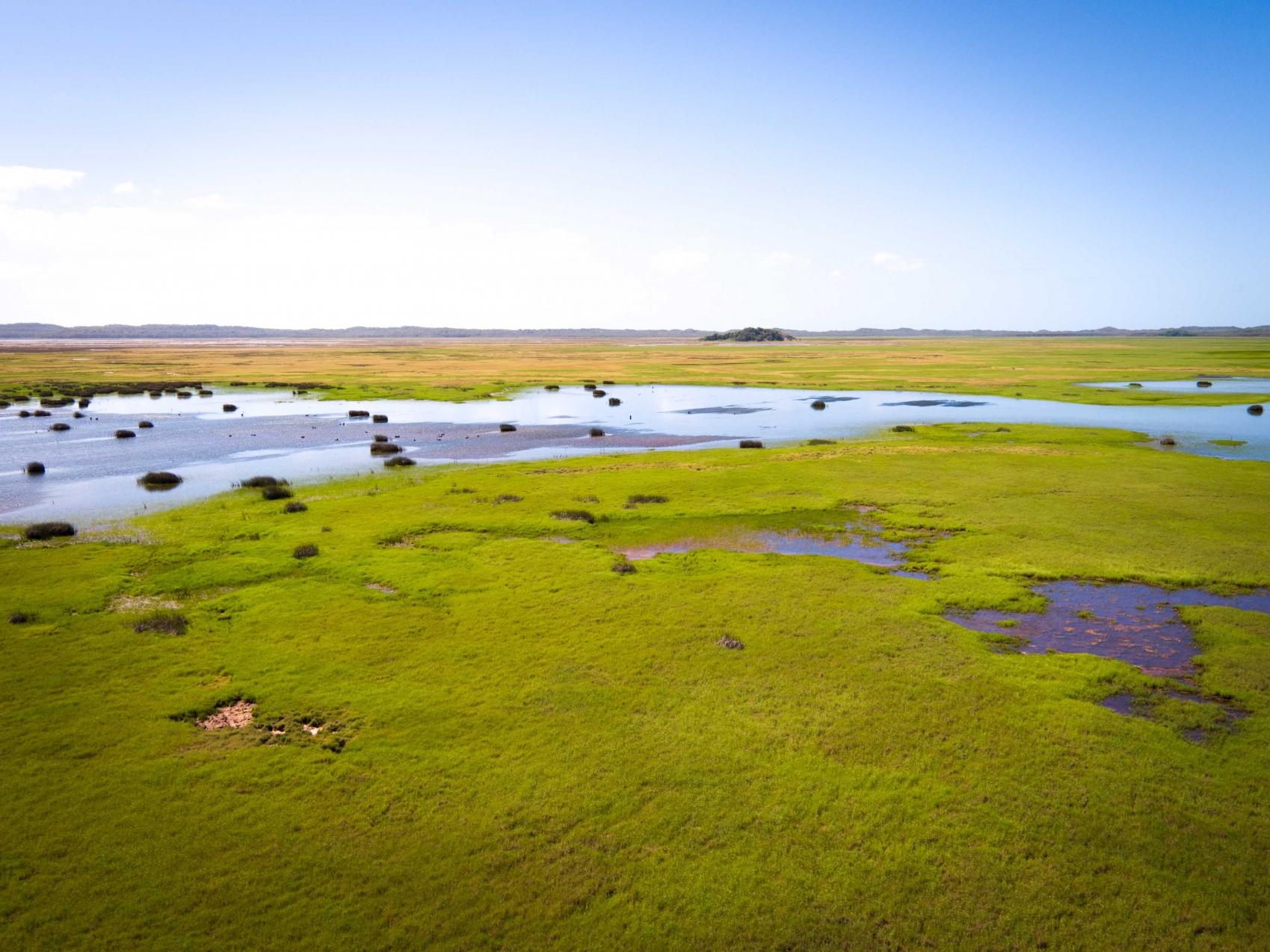 Curtis Island Images