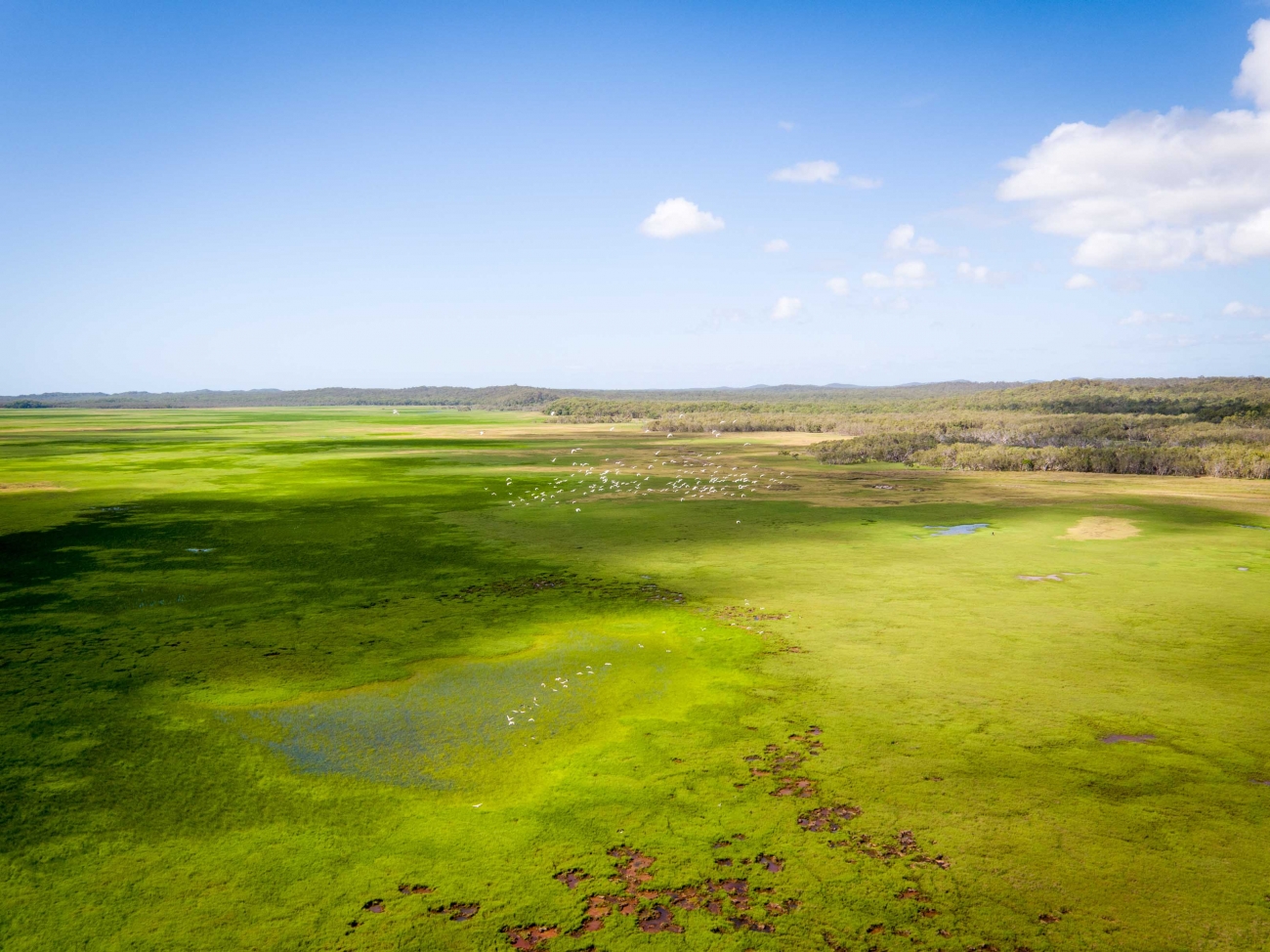 Curtis Island Images