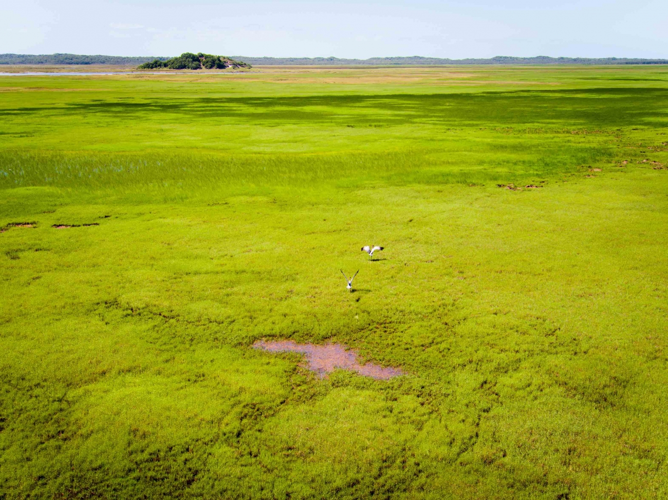 Curtis Island Images