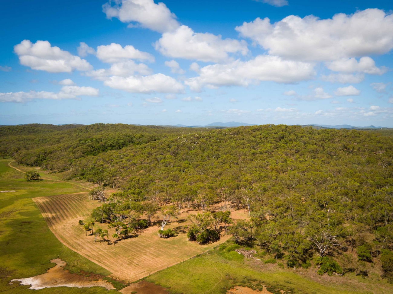 Marine Plain Wilderness Camp Development Site