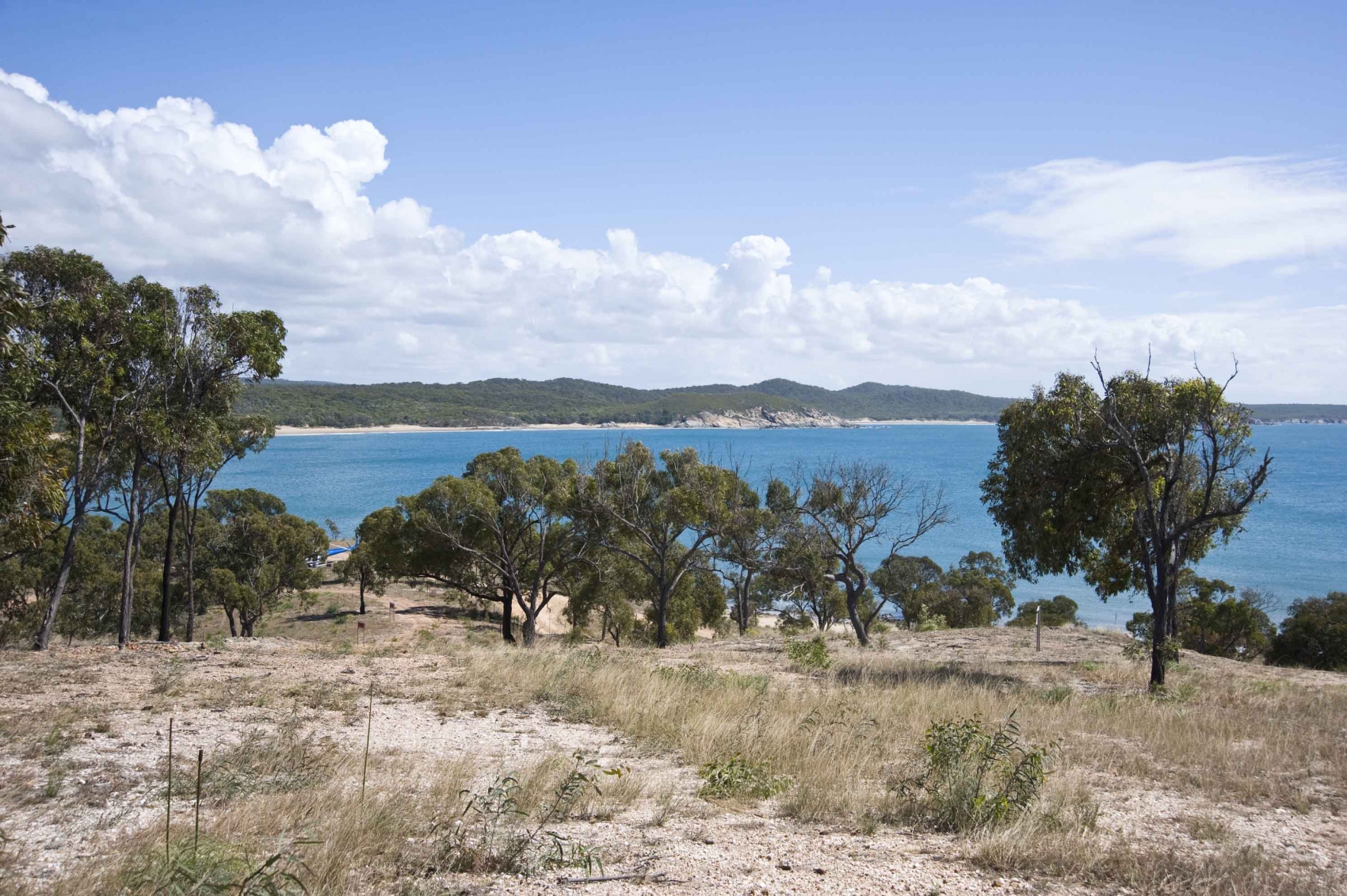 Turtle Bay Development Site