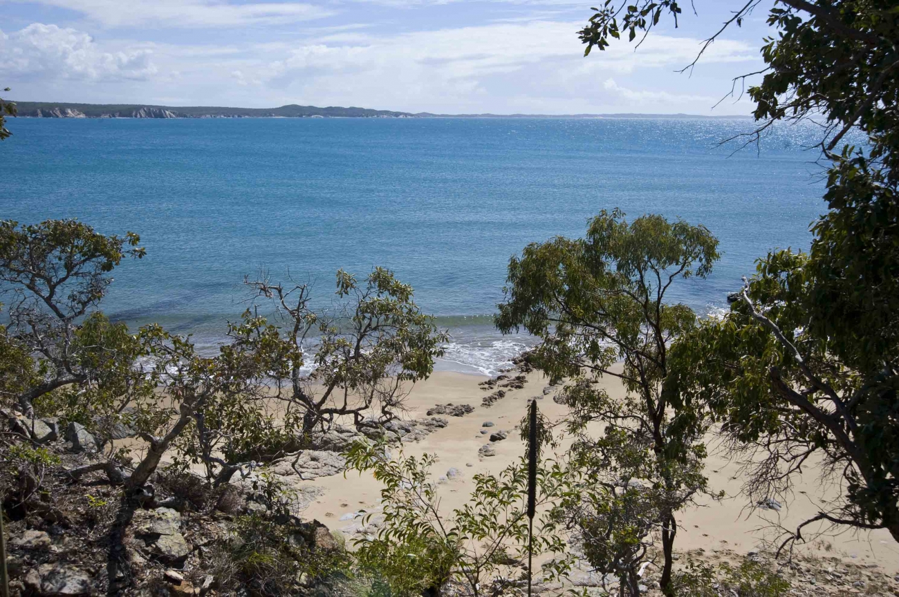 Turtle Bay Development Site